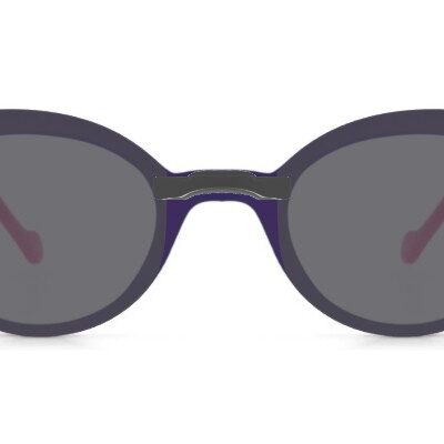 Clip-on sunglasses for Anne & Valentin Alma with a Magnetic bridge and Gray | Polarized | 14% Light Transmission lenses